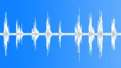 Blackbird singing in the rainSound Effect