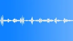 Blackbird SongSound Effect