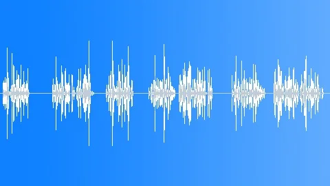 Blackbird song Sound Effect