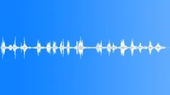 BlackbirdSound Effect