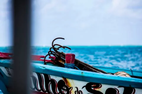 BlackBirdStudio Stock Photos