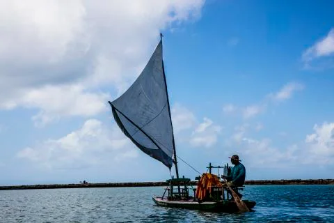 BlackBirdStudio Stock Photos