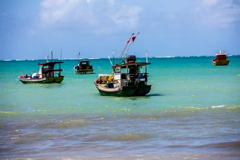 BlackBirdStudio Stock Photos