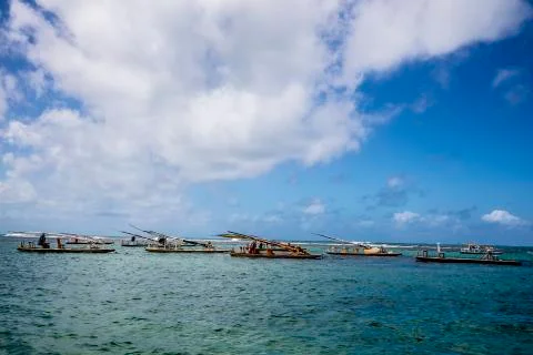 BlackBirdStudio Stock Photos