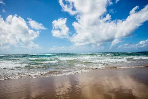 BlackBirdStudio Stock Photos