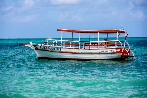 BlackBirdStudio Stock Photos