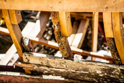 BlackBirdStudio Stock Photos