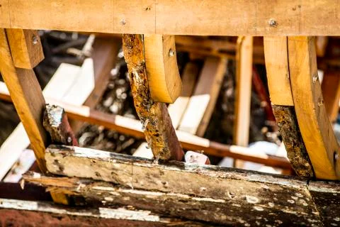 BlackBirdStudio Stock Photos