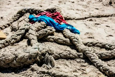 BlackBirdStudio Stock Photos