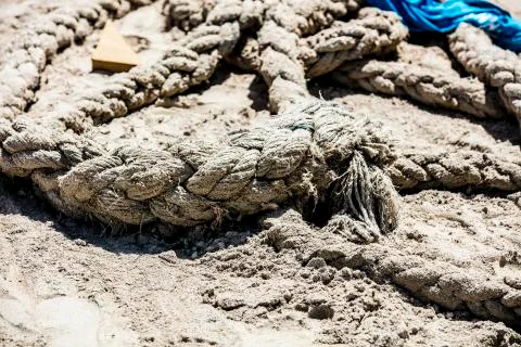 BlackBirdStudio Stock Photos