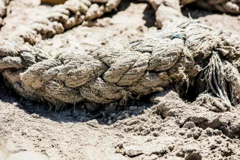 BlackBirdStudio Stock Photos