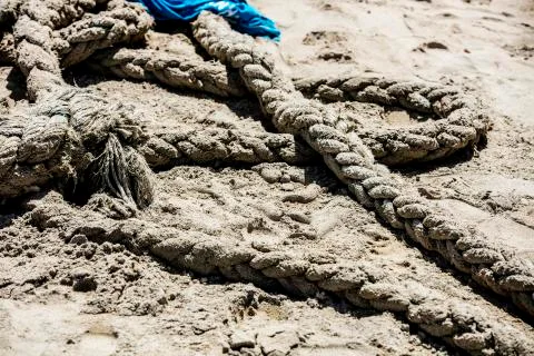 BlackBirdStudio Stock Photos