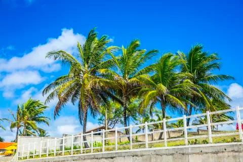 BlackBirdStudio Stock Photos