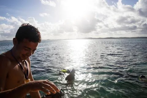 BlackBirdStudio Stock Photos