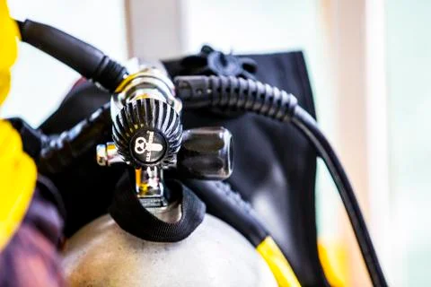 BlackBirdStudio Stock Photos