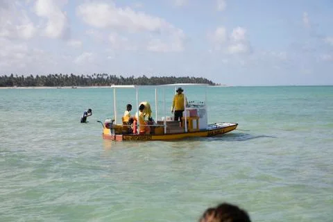 BlackBirdStudio Stock Photos