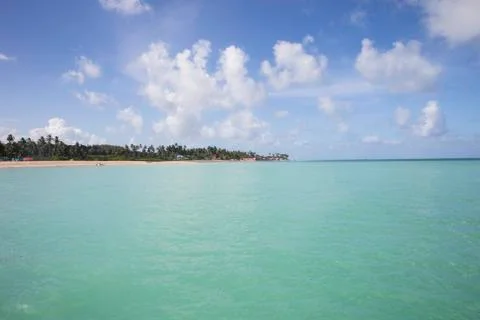 BlackBirdStudio Stock Photos