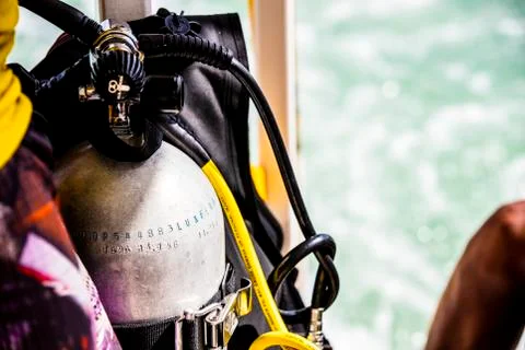 BlackBirdStudio Stock Photos