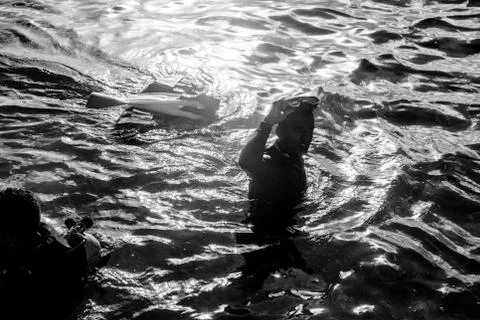 BlackBirdStudio Foto stock