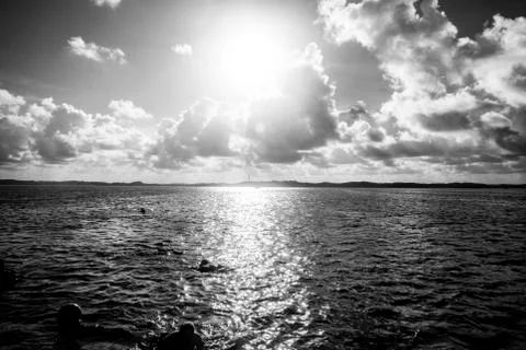 BlackBirdStudio Stock Photos