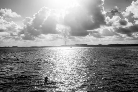 BlackBirdStudio Stock Photos