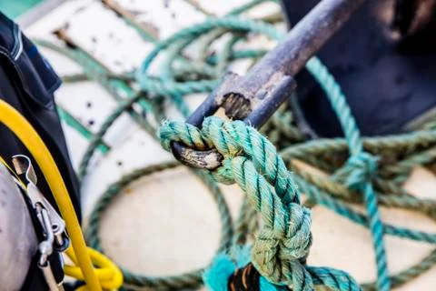 BlackBirdStudio Stock Photos