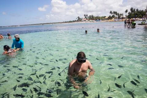 BlackBirdStudio Stock Photos