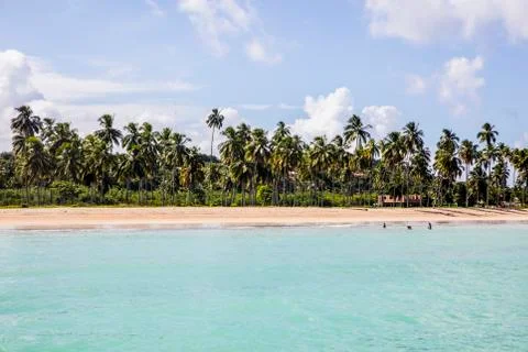 BlackBirdStudio Stock Photos