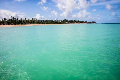 BlackBirdStudio Stock Photos