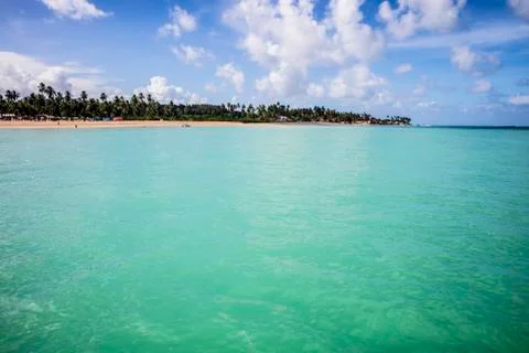 BlackBirdStudio Stock Photos