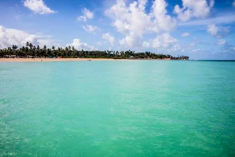 BlackBirdStudio Stock Photos