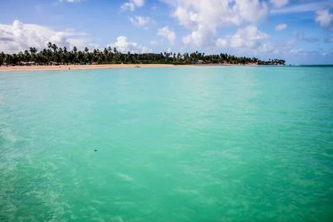 BlackBirdStudio Stock Photos