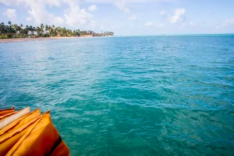 BlackBirdStudio Stock Photos