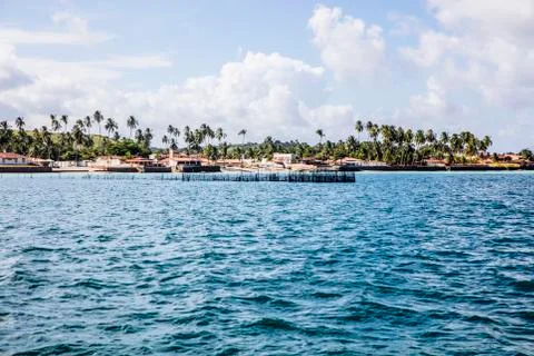 BlackBirdStudio Stock Photos