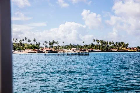 BlackBirdStudio Stock Photos