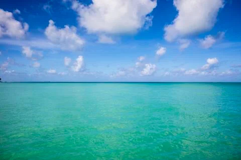 BlackBirdStudio Stock Photos