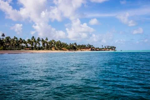 BlackBirdStudio Stock Photos