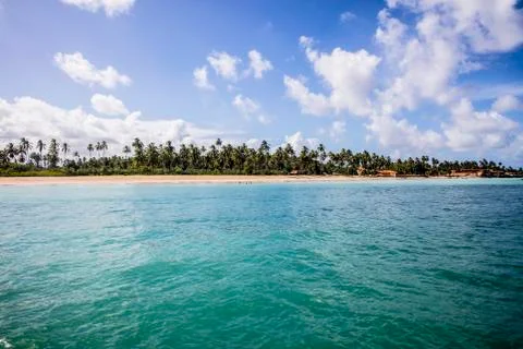 BlackBirdStudio Stock Photos