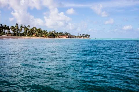 BlackBirdStudio Stock Photos