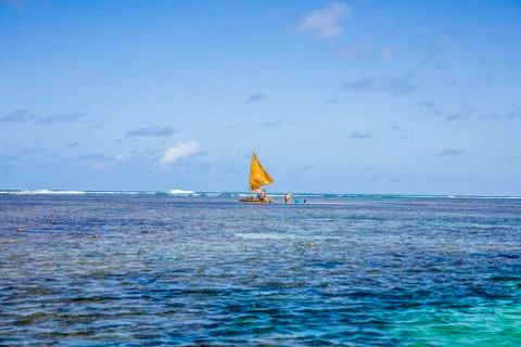 BlackBirdStudio Stock Photos