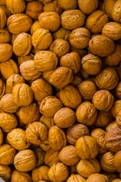 BlackBirdStudio Stock Photos