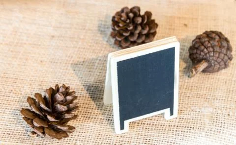 Blackboard and pine cones. Stock Photos