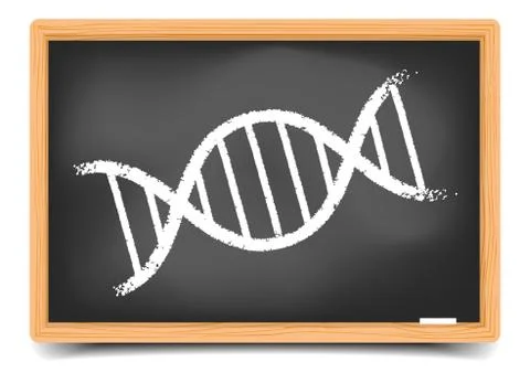 Blackboard dna Stock Illustration