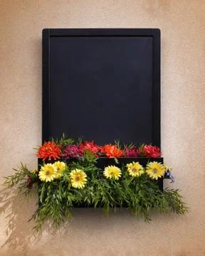 Blackboard With Flowers Stock Photos