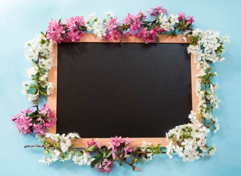 Blackboard with the spring flowers Stockfoto's