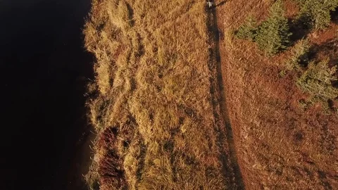 Blackbox I need a curator Stock Footage 121133985