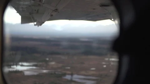 Blackbox I need a curator Stock Footage 121263353