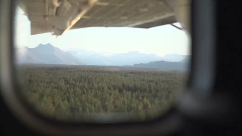 Blackbox I need a curator Stock Footage 121263407