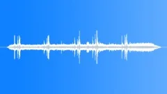 BlackCapped Mocking Thrush ClearSound Effect