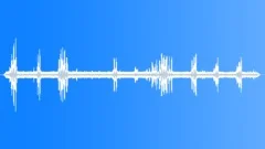 BlackCapped Mocking Thrush MDSound Effect
